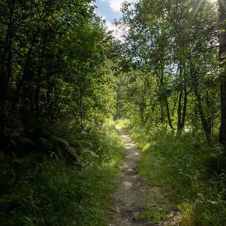 Campingplads Lodge&camping Tromsø