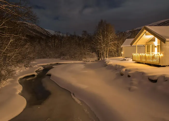 캠프장 롯지&캠핑 4*