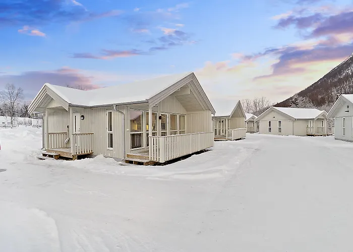 캠프장 롯지&캠핑