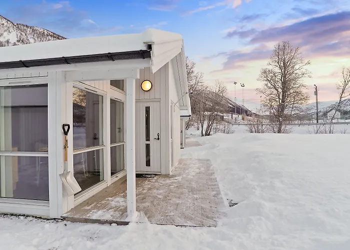 캠프장 롯지&캠핑 4*